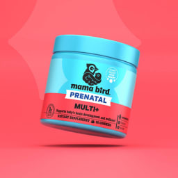 Mama Bird Prenatal Multi+ Gummies (Strawberry)