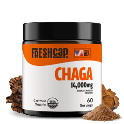 Chaga