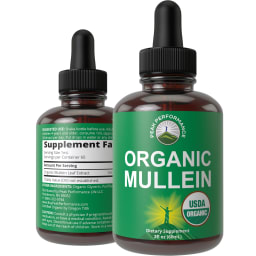 Organic Mullein