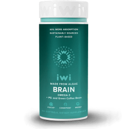 Brain