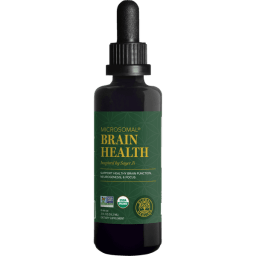 Brain Health