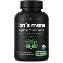 Lion's Mane Organic Mushrooms