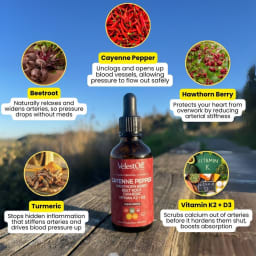 Blood Pressure Cleanse