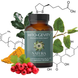 Mito-Gevity