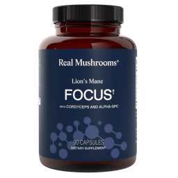 Lion's Mane Focus