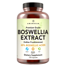 Boswellia Extract 500 mg