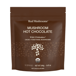 Mushroom Hot Chocolate