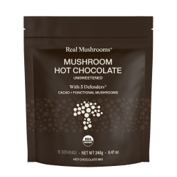 Mushroom Hot Chocolate (Unsweetened)