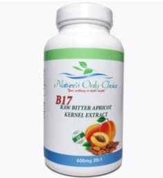 B17 Raw Bitter Apricot Kernel Extract