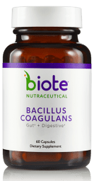 Bacillus Coagulans