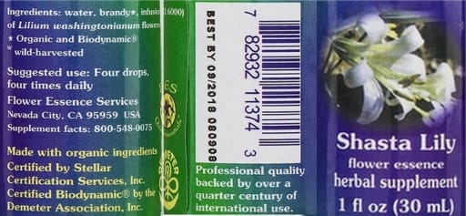 Shasta Lily Flower Essence