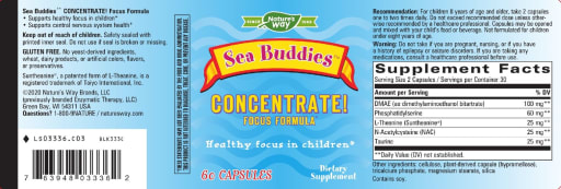 Sea Buddies Concentrate!