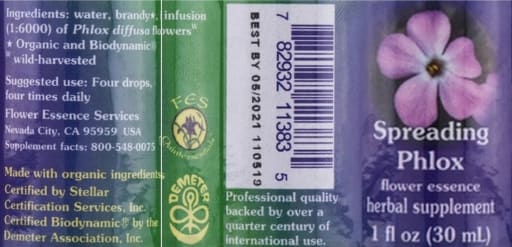 Spreading Phlox Flower Essence