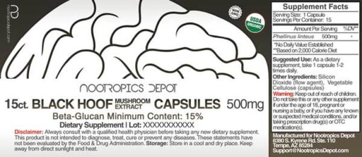 Black Hoof Mushroom Extract Capsules 500 mg