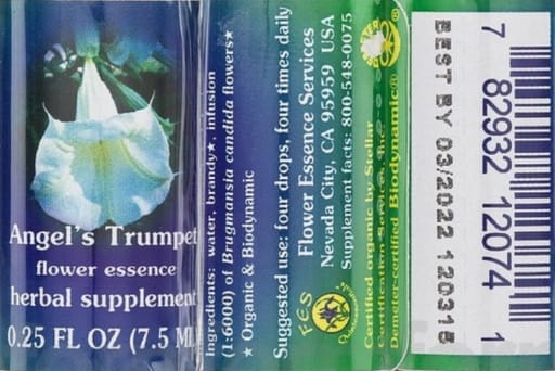 Angel's Trumpet Flower Essence