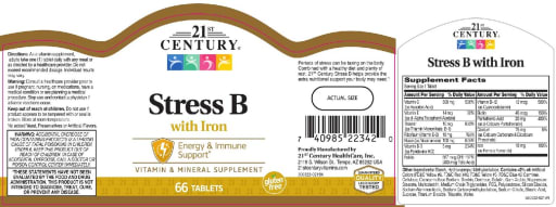 Stress B with Iron