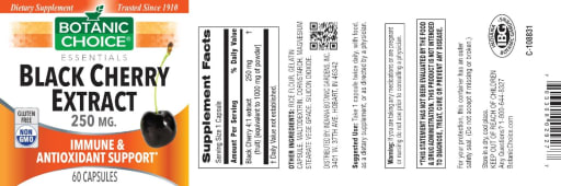Black Cherry Extract 250 mg