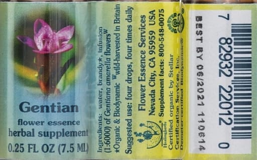Gentian Flower Essence