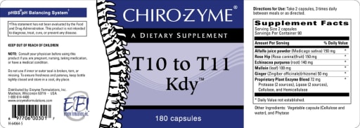 T10 To T11 Kdy