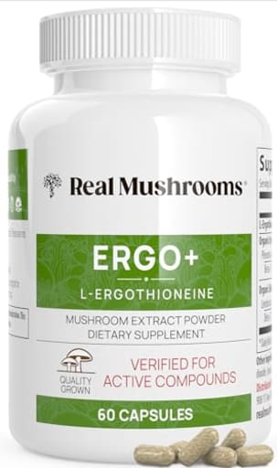 Ergo+