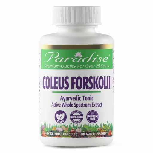 Coleus Forskolii