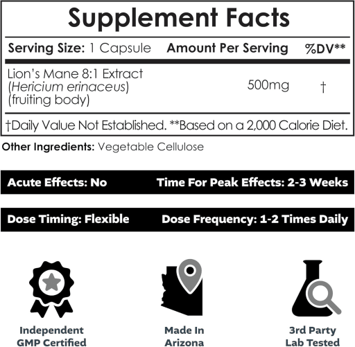 Lion's Mane 8:1 Mushroom Extract
