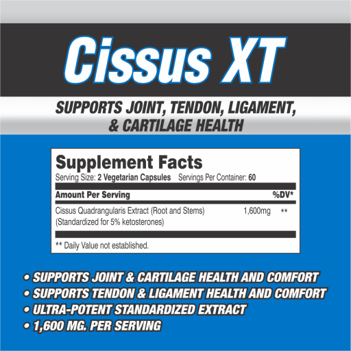 Cissus XT