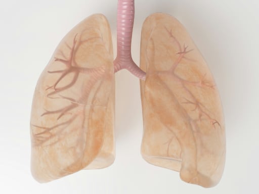 Respiratory Toxin Support