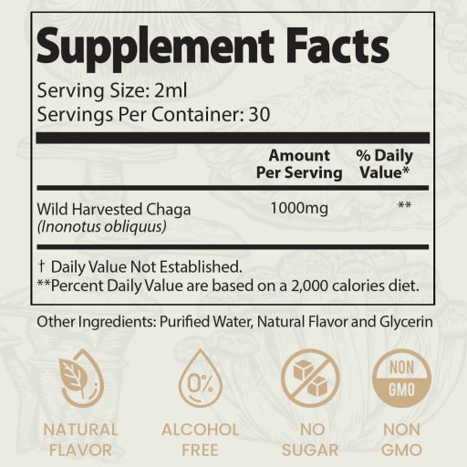 Super Mushroom Chaga Elixir