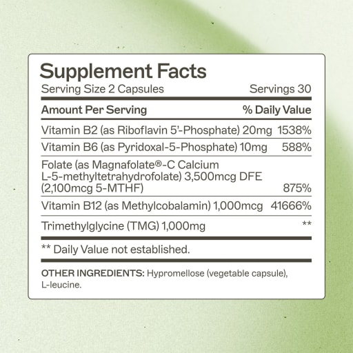 Methylation Support