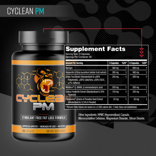 Cyclean PM