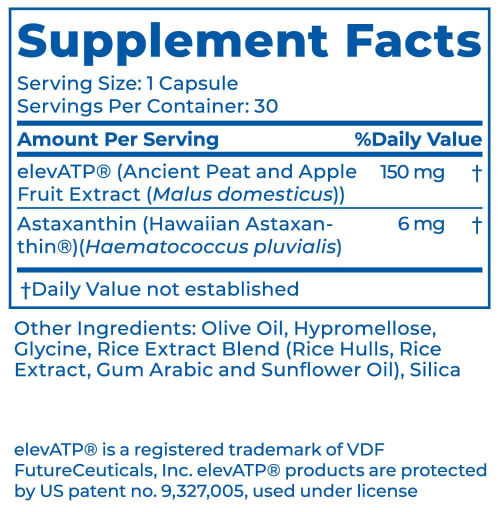 High Impact Endurance