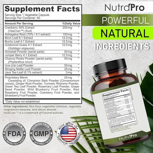 Advanced Kidney Health and Bladder Support