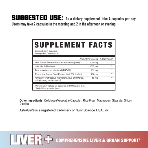 Liver+