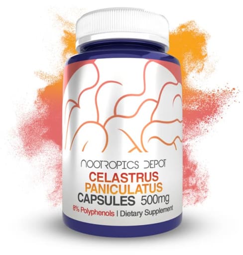 Celastrus Paniculatus Extract 500 mg