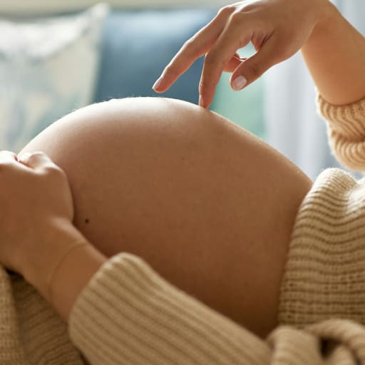 Prenatal Nutrient Support