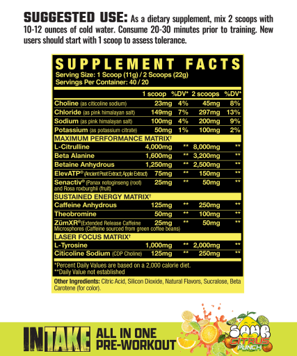 INTAKE All In One Pre-Workout (Sour Citrus Punch)
