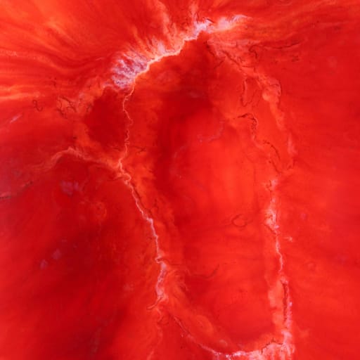 Cholesterol Support