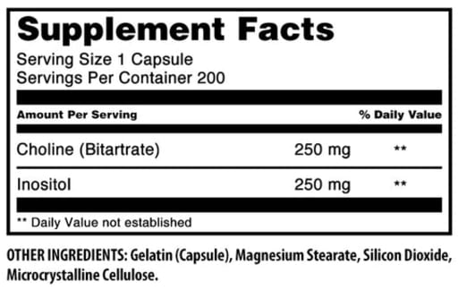 Choline Inositol 500 mg
