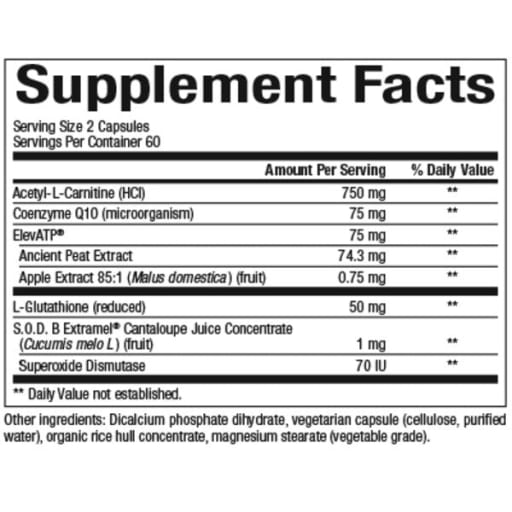 RegenerLife Optimize Mitochondrial Function