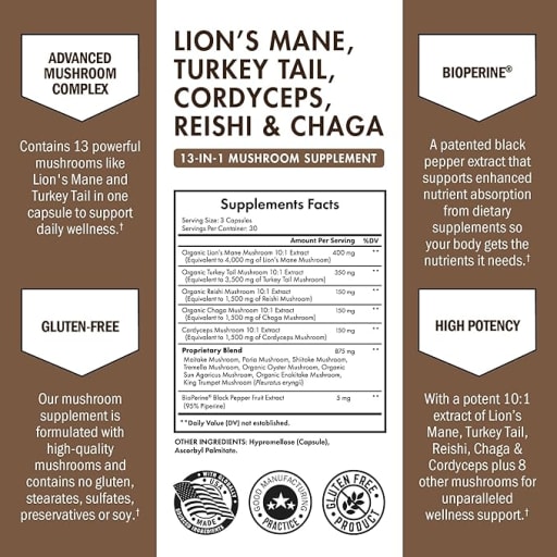 Lion's Mane, Turkey Tail, Cordyceps, Reishi & Chaga