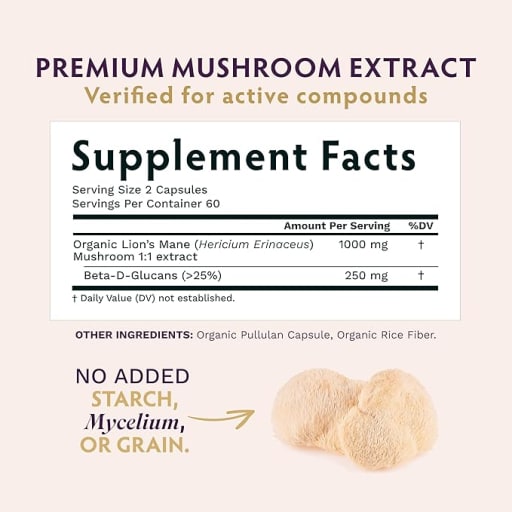 Lion's Mane Mushroom
