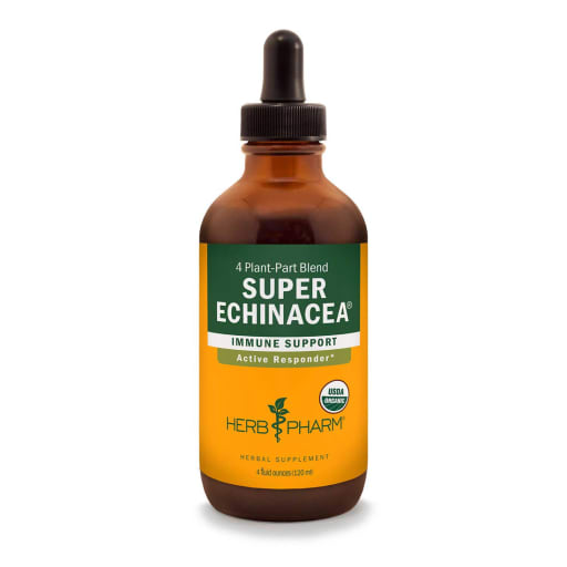 Super Echinacea