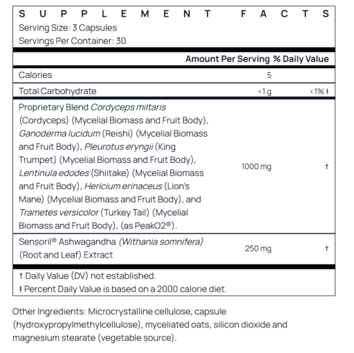 Energy Optimizer