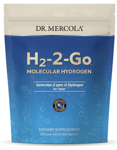 H2-2-Go