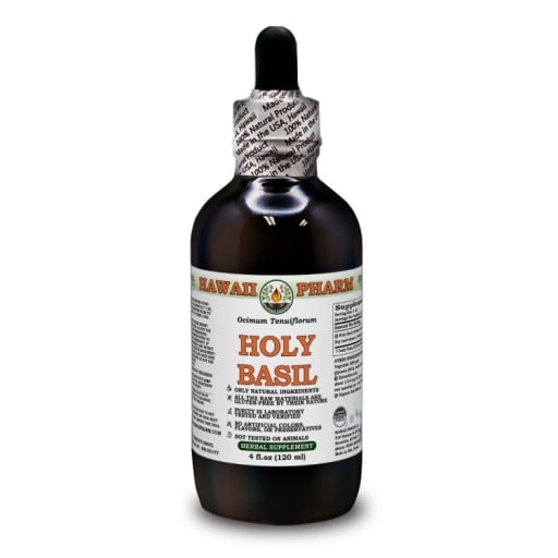 Holy Basil