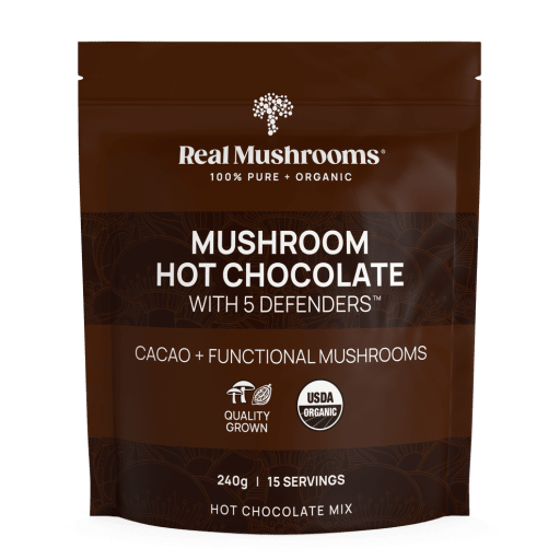 Mushroom Hot Chocolate