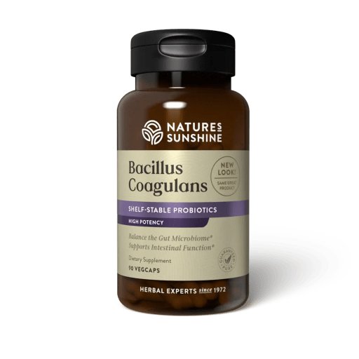 Bacillus Coagulans