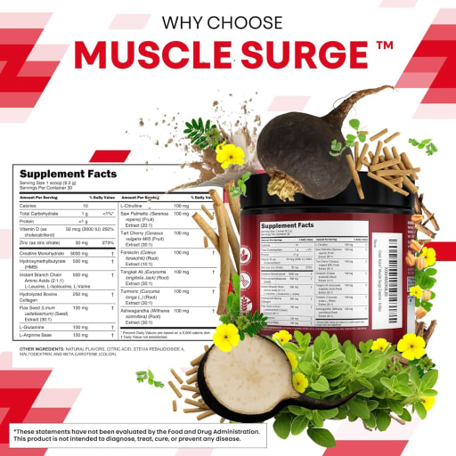 Creatine Powder for Men