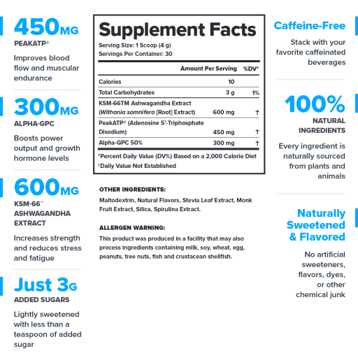 Performance Surge (Blue Raspberry)
